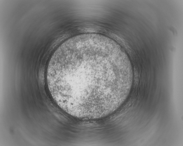 X0000110670386200907241027