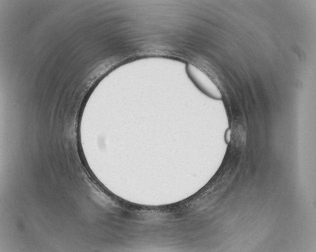 X0000110670389200907241027