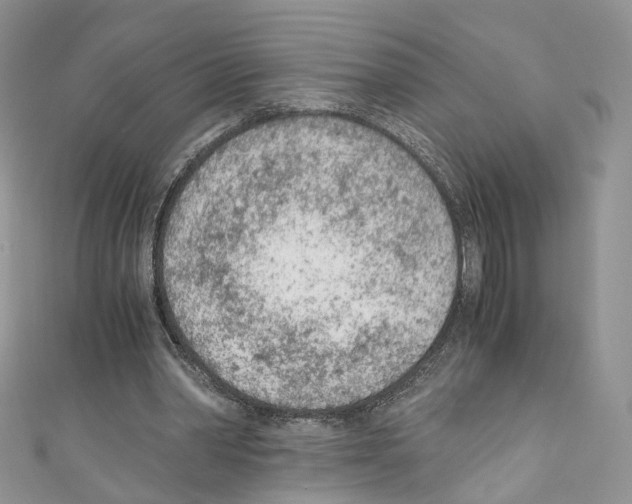 X0000110670390200907241027