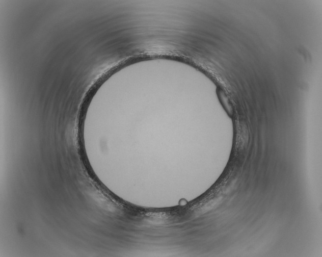 X0000110670391200907241027