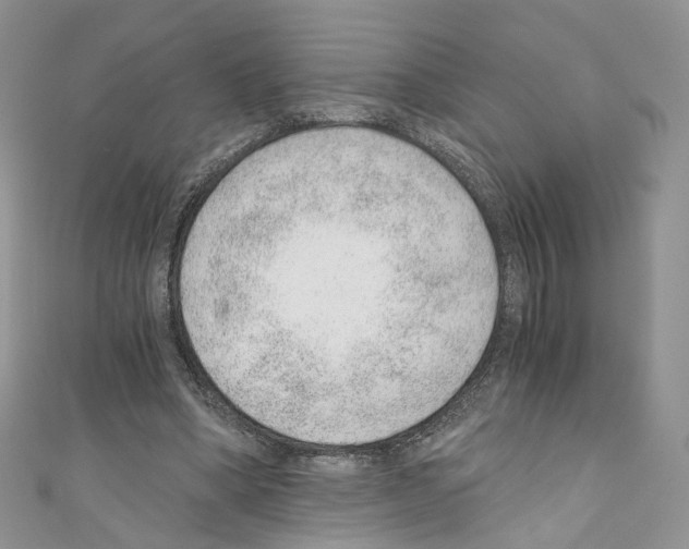 X0000110670394200907241027