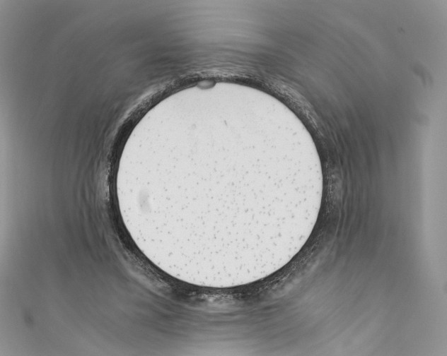 X0000110670395200907241027