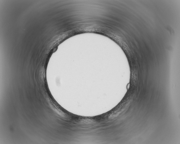 X0000110670397200907241027