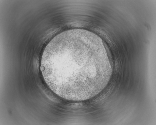 X0000110670398200907241027