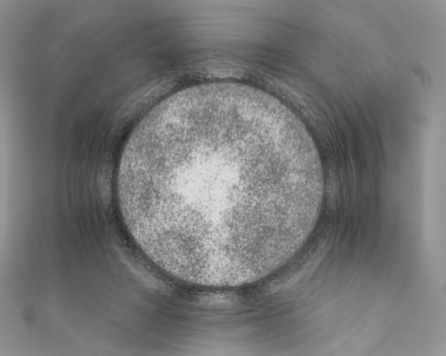 X0000110670402200907241027