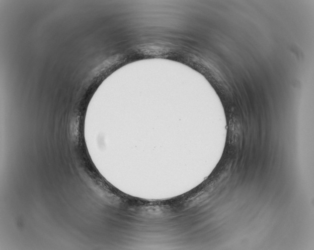X0000110670404200907241027