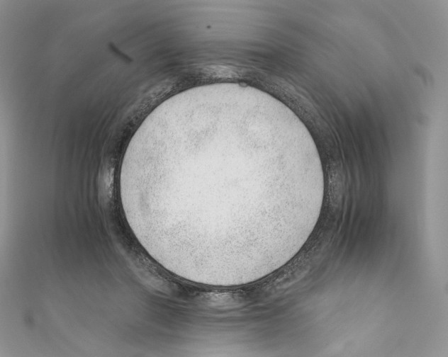 X0000110670406200907241027