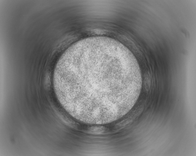 X0000110670410200907241026