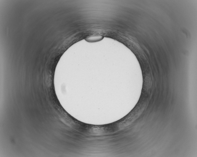 X0000110670413200907241026