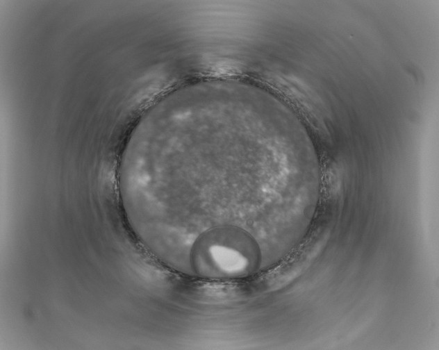 X0000110670415200907241026