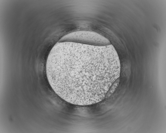 X0000110670417200907241026