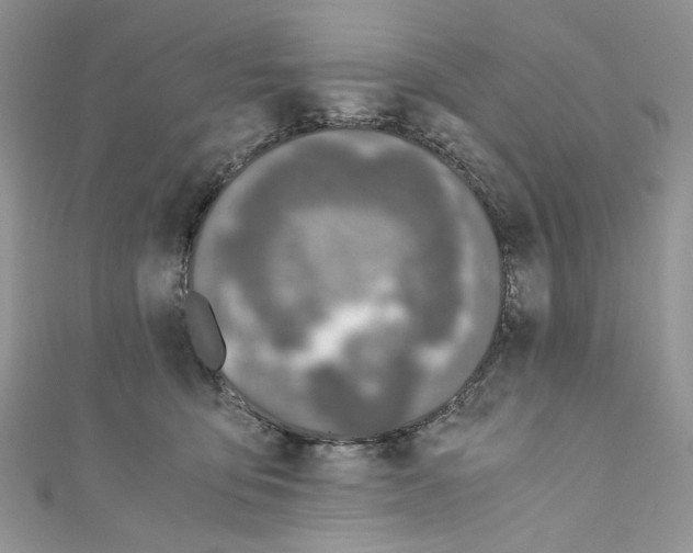 X0000110670419200907241026
