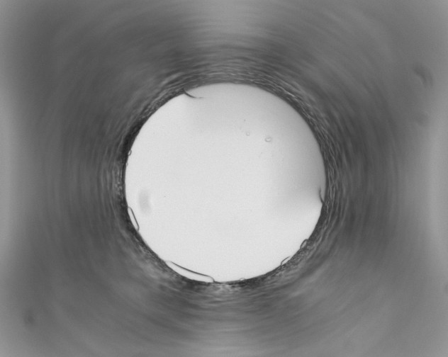 X0000110670421200907241026