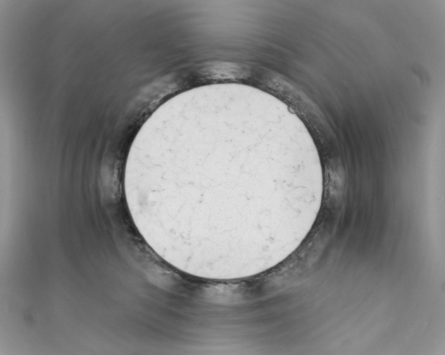 X0000110670422200907241026
