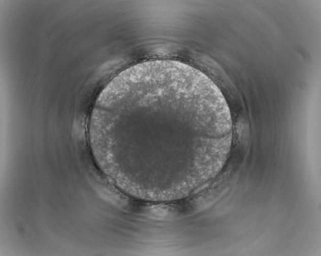 X0000110670423200907241026