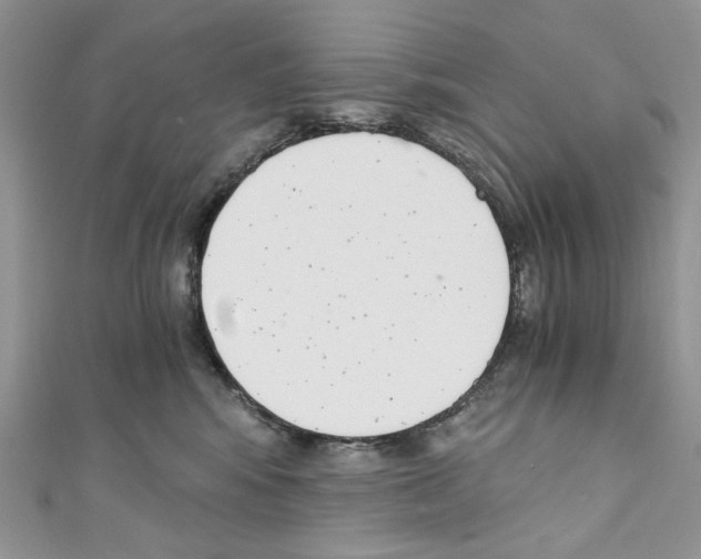 X0000110670424200907241026