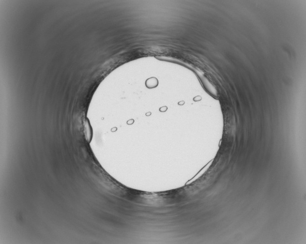 X0000110670425200907241026