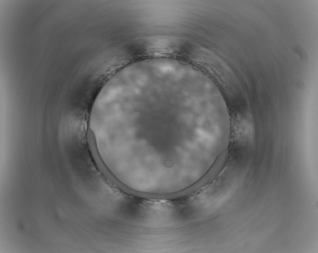 X0000110670427200907241026