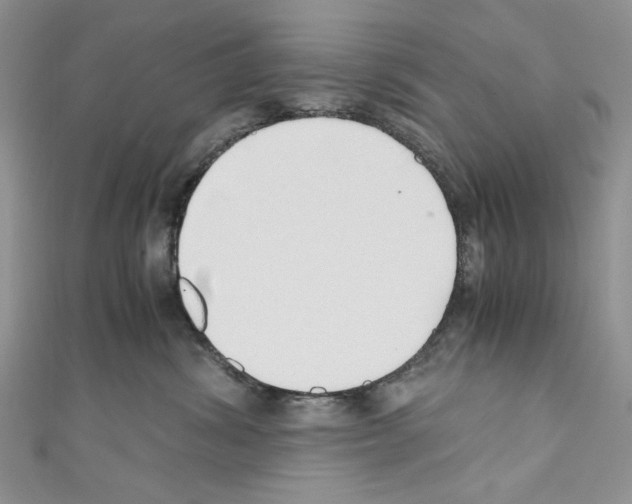 X0000110670428200907241026