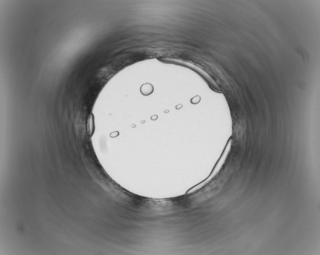 X0000110670429200907241026