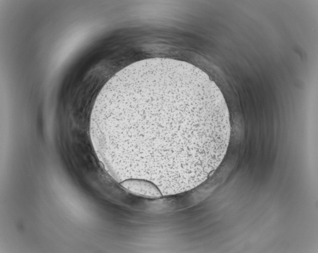 X0000110670430200907241026