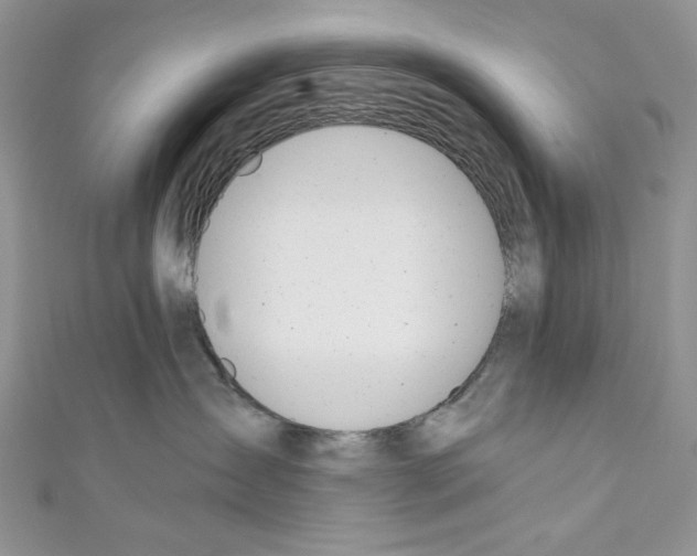 X0000110670431200907241026