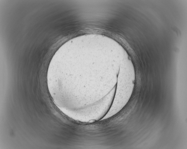 X0000110670433200907241025