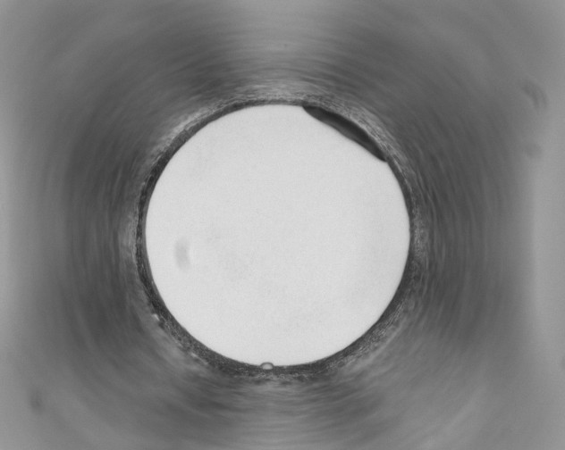 X0000110670434200907241025