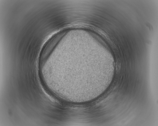 X0000110670438200907241025
