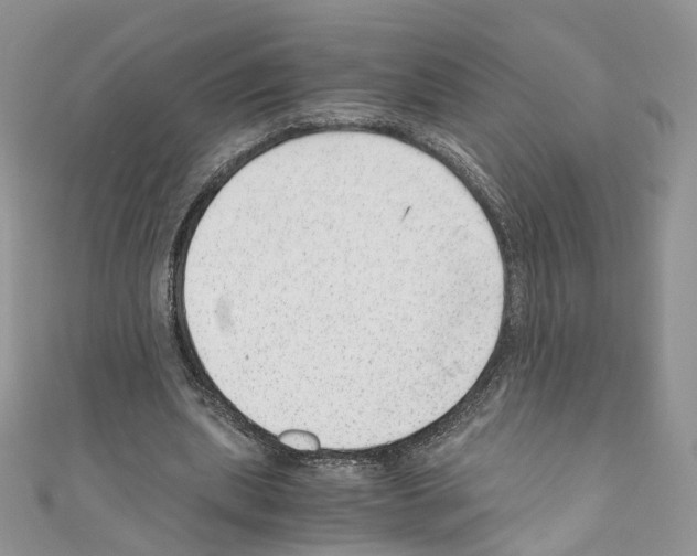 X0000110670439200907241025
