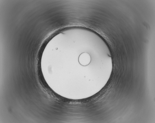 X0000110670440200907241025