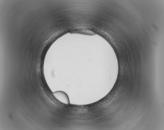 X0000110670443200907241026