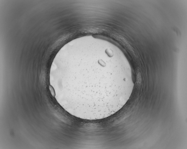 X0000110670444200907241026