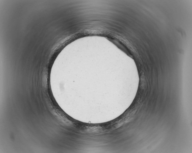 X0000110670446200907241026