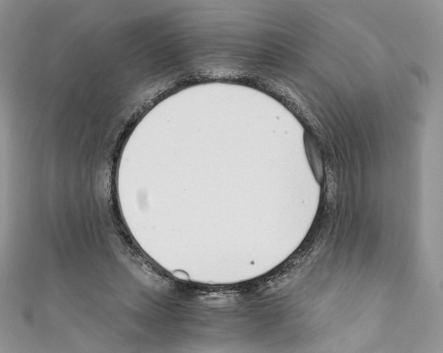 X0000110670447200907241026