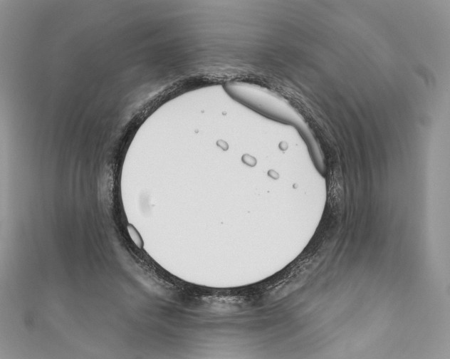 X0000110670448200907241026