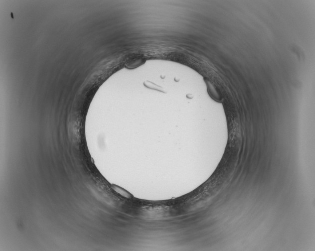 X0000110670452200907241026