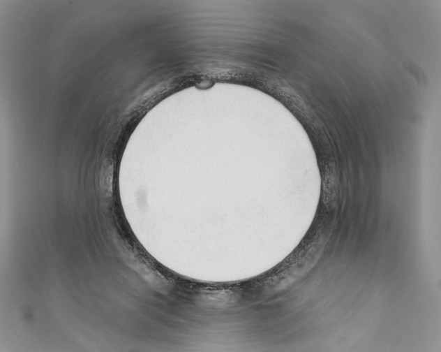 X0000110670454200907241026