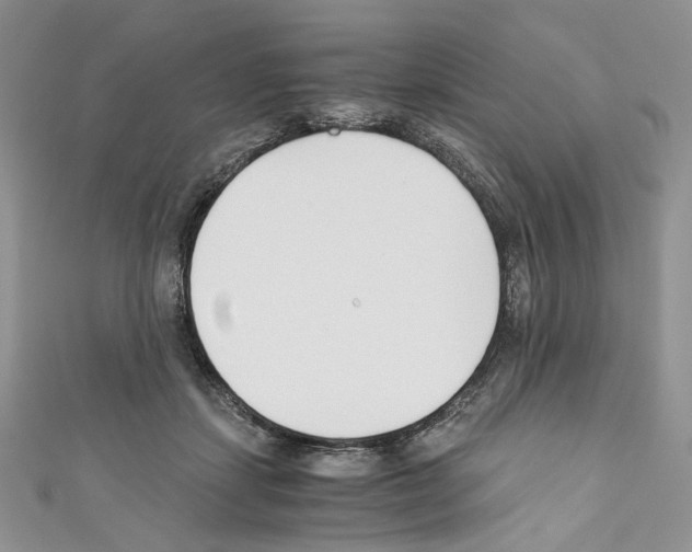 X0000110670459200907241026