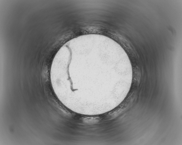 X0000110670465200907241026