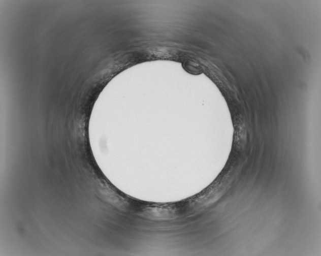 X0000110670466200907241026