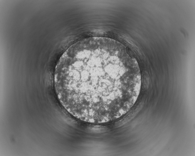 X0000110670467200907241026
