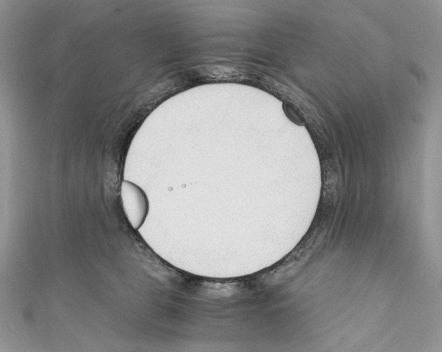 X0000110670469200907241026
