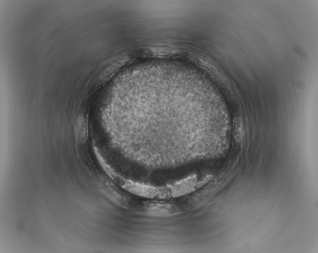 X0000110670471200907241026