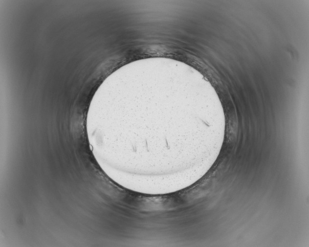 X0000110670473200907241026