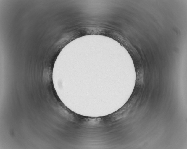 X0000110670474200907241026