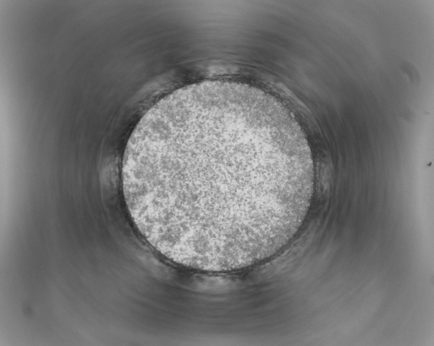 X0000110670475200907241026