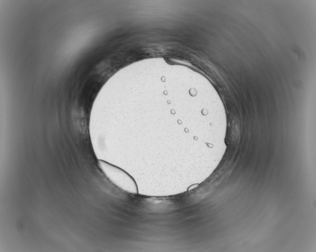 X0000110670477200907241026
