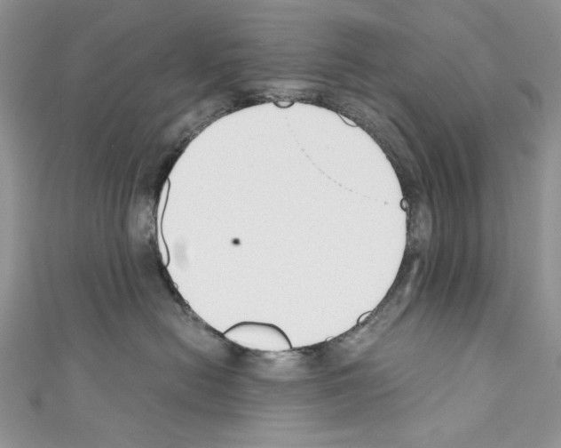 X0000110670478200907241026