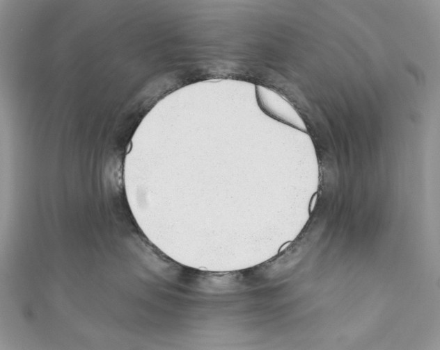 X0000110670479200907241026